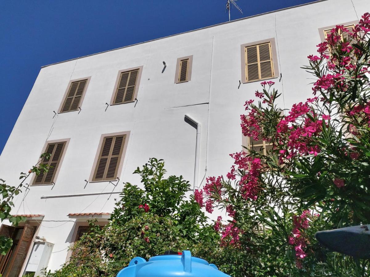 Whole Holiday Home Apartment Splendid Civitavecchia Da Pamino & Priscilla Extérieur photo