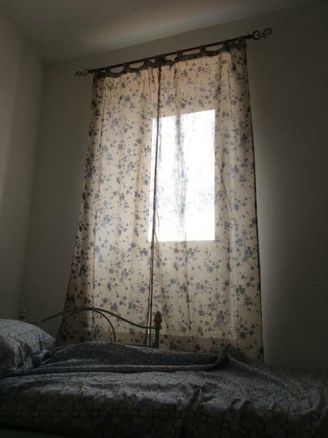 Whole Holiday Home Apartment Splendid Civitavecchia Da Pamino & Priscilla Extérieur photo